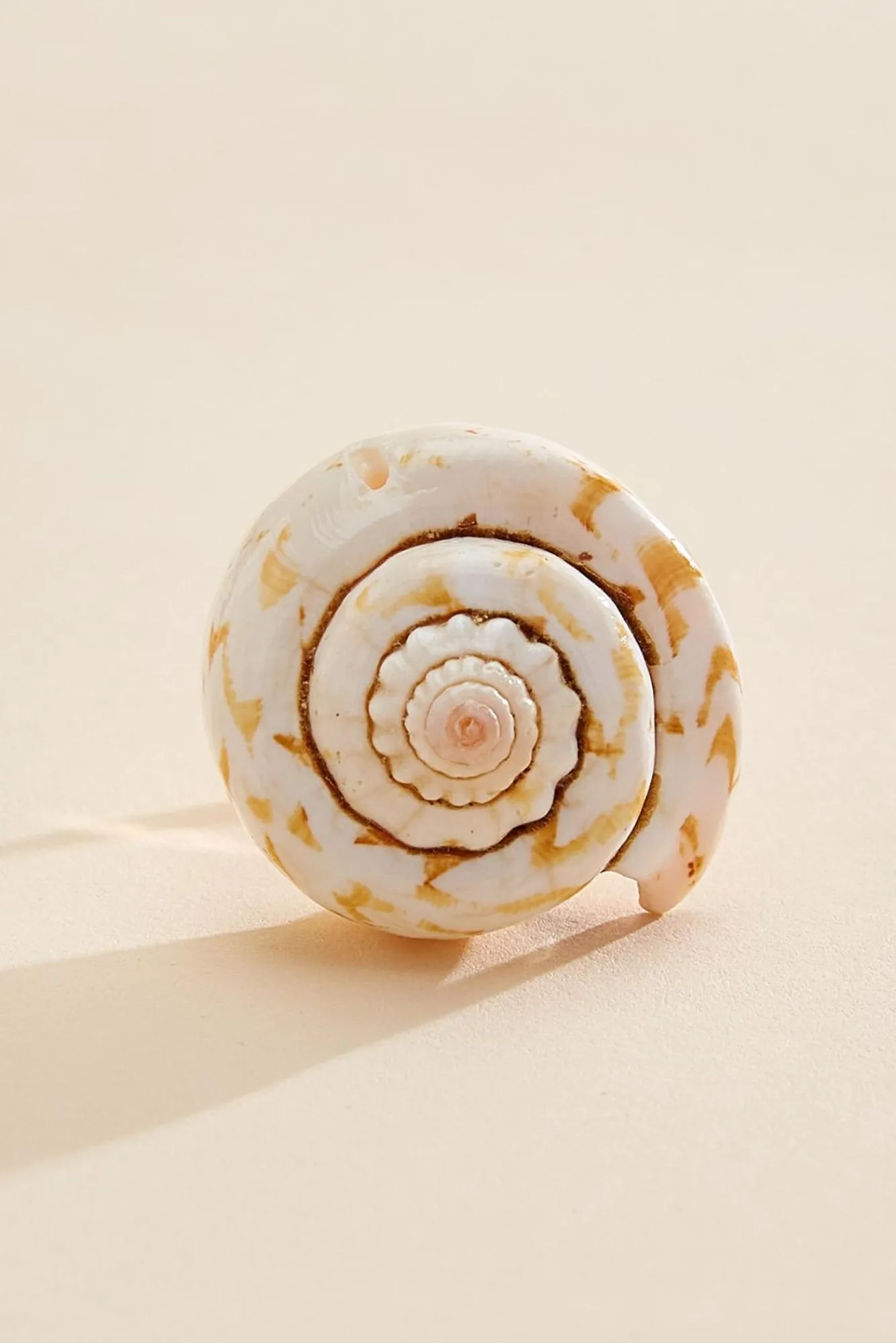 Women Versona Large Shell Ring